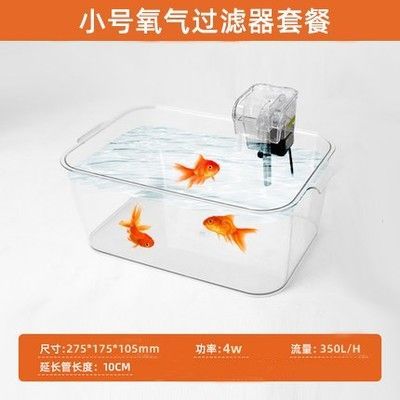 養六角恐龍魚需要什么過濾：六角恐龍魚水質管理技巧六角恐龍魚水質管理技巧