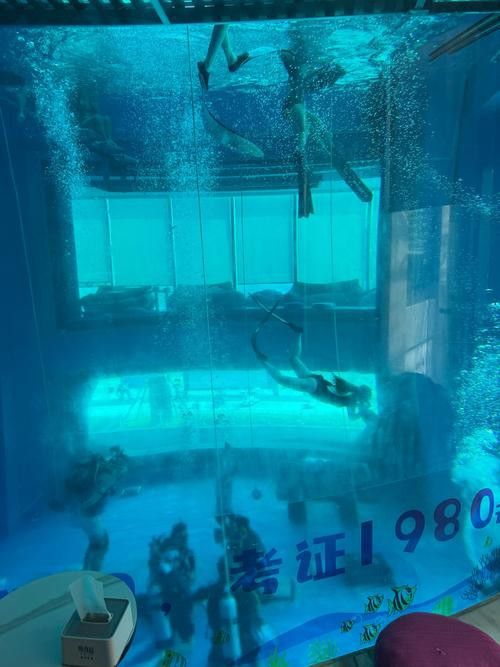 珠海龍魚觀賞魚 龍魚世家水族館好口碑 珠海龍魚觀賞魚 龍魚世家水族館好口碑 龍魚百科 第6張