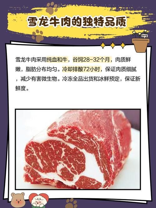 雪龍在市場上是否存在？