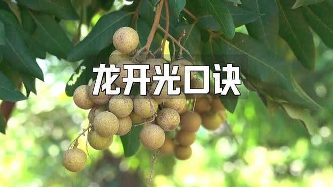 如何判斷龍飾是否開光？