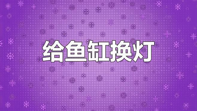 金龍魚上色燈有哪些品牌推薦？