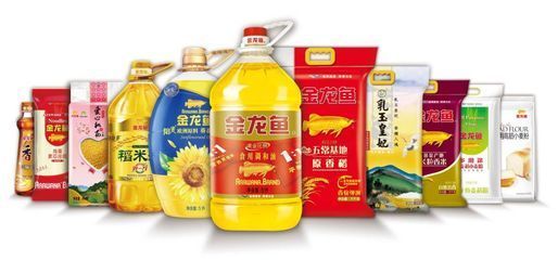 龍魚應該喂什么食物：關于龍魚的飲食建議