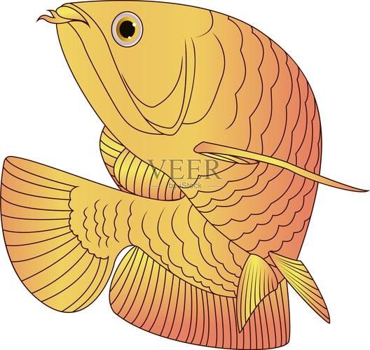 龍魚背景圖片大全高清可愛圖