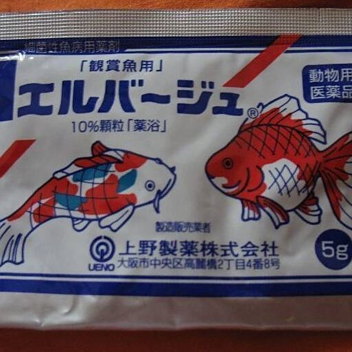 龍魚散 日本藥 龍魚散 日本藥 龍魚百科 第2張