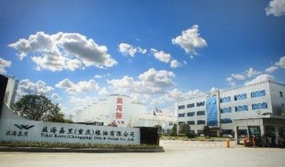 金龍魚研發中心地址，金龍魚的研發中心可能位于上海市浦東新區附近附近