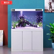 專業(yè)定做魚缸觀賞魚 龍魚世家水族館誠信