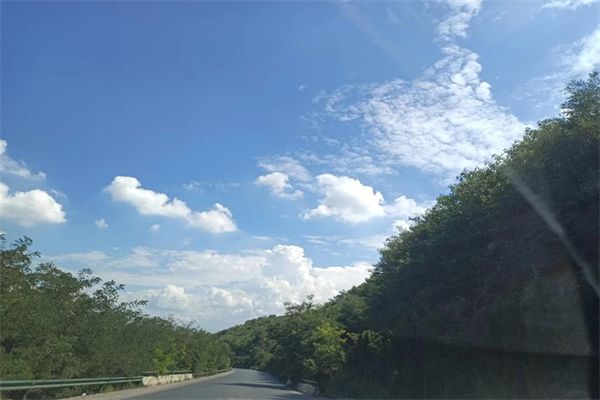 100種魚類圖片