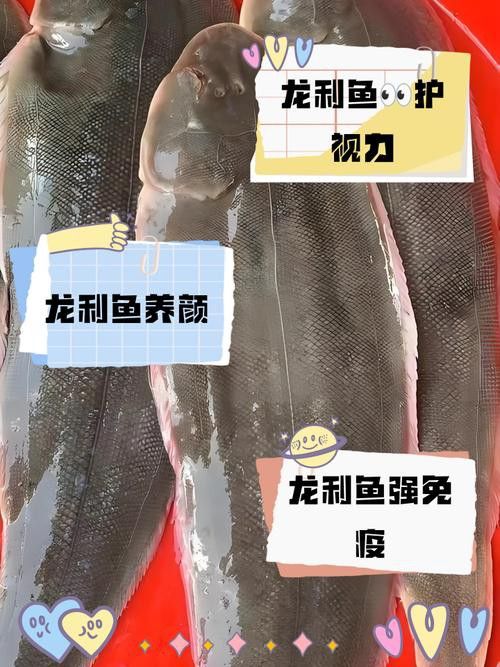金龍魚拒食的原因