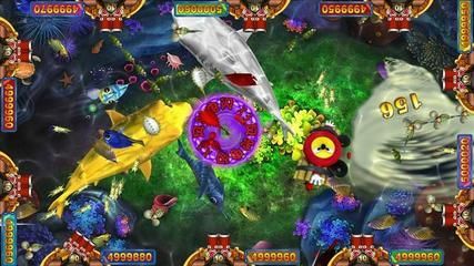 介紹金龍魚游戲的作文怎么寫：關于金龍魚游戲的作文怎么寫