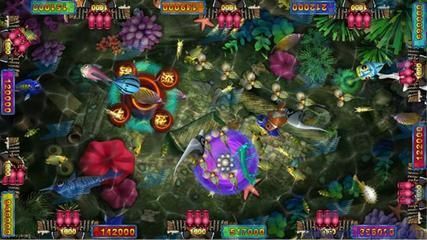 介紹金龍魚游戲的作文怎么寫：關于金龍魚游戲的作文怎么寫