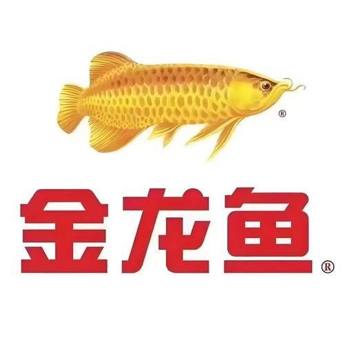 金龍魚商標(biāo)透明圖片