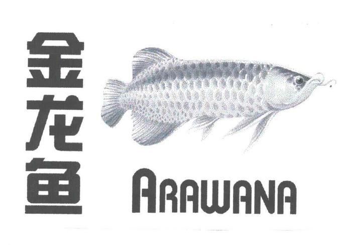 金龍魚商標(biāo)透明圖片