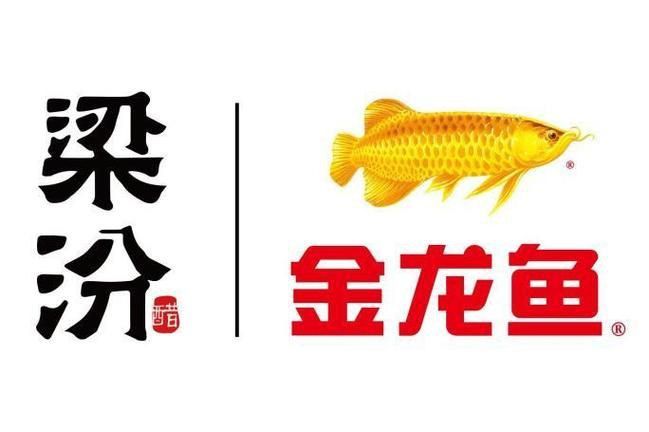 金龍魚商標(biāo)透明圖片