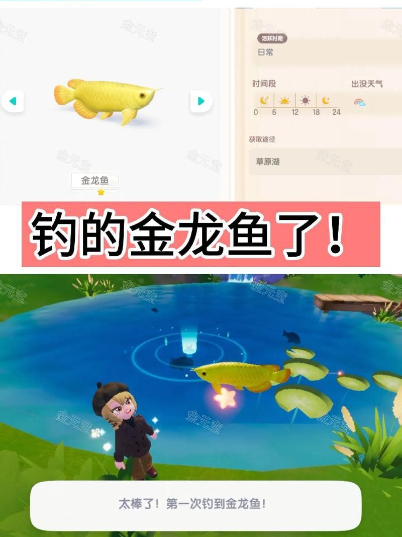 天刀怎么釣錦鯉和金龍魚