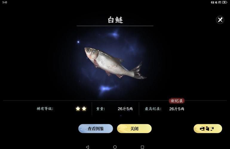 天刀怎么釣錦鯉和金龍魚