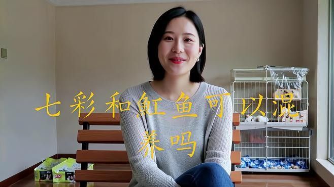 龍魚混養(yǎng)魚推薦圖片高清版