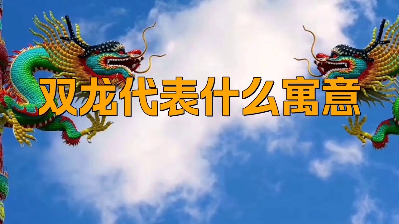 道之雙龍是什么意思？