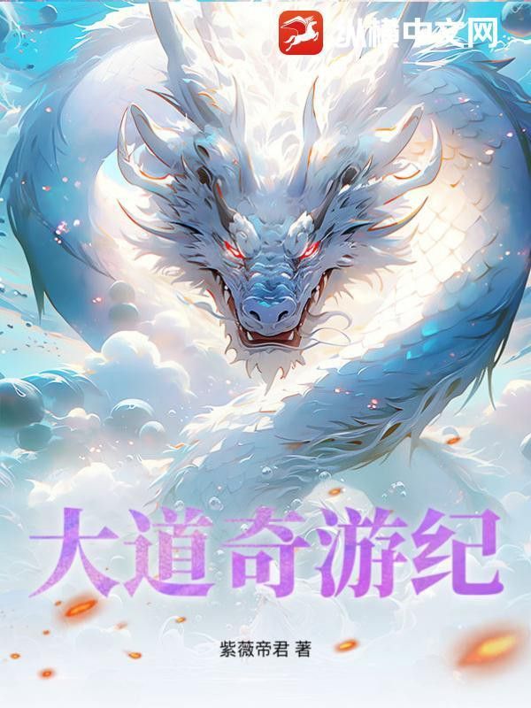道之雙龍是什么意思？