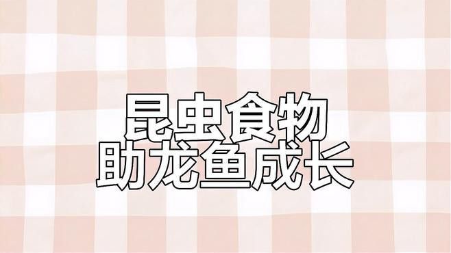 哪些昆蟲適合喂龍魚？