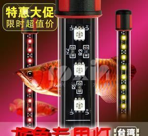 龍魚可以用藥水上色嗎：龍魚的上色方法