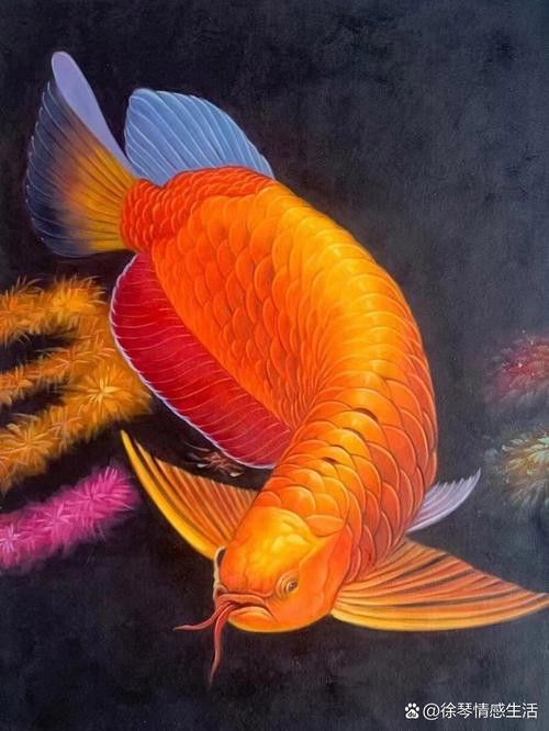 能推薦一些動(dòng)態(tài)紅金龍魚(yú)壁紙嗎？