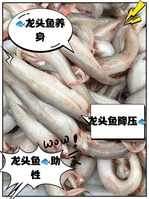 如何選購新鮮的龍頭魚？