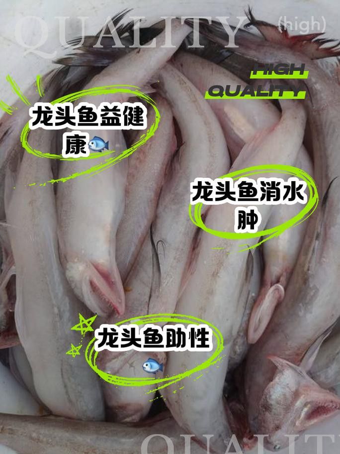 如何選購新鮮的龍頭魚？