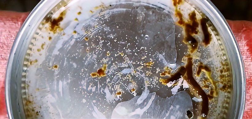 龍魚細菌性腸炎的癥狀有哪些？