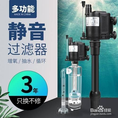 魚缸氧泵怎么使用（如何維護魚缸氧泵延長壽命）