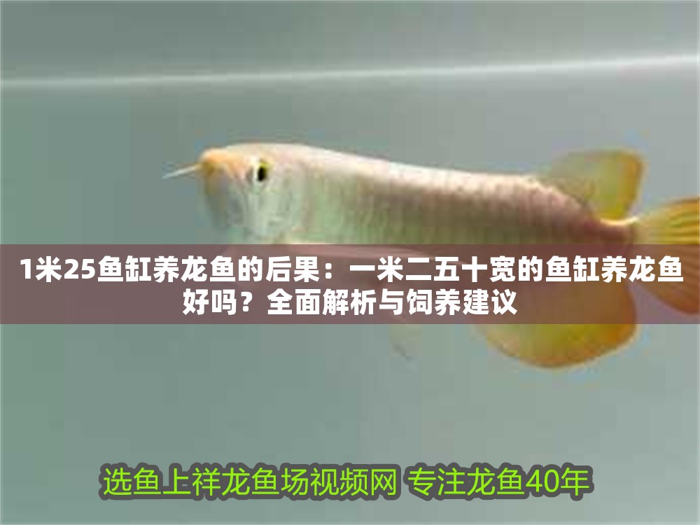 1米25魚缸養龍魚的后果：一米二五十寬的魚缸養龍魚好嗎？全面解析與飼養建議