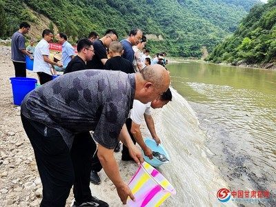 孟吉爾萬吉紅龍多少錢：孟吉爾萬吉紅龍魚證書，品質與身份的象征 孟吉爾萬吉紅龍多少錢：孟吉爾萬吉紅龍魚證書，品質與身份的象征 龍魚百科 第1張