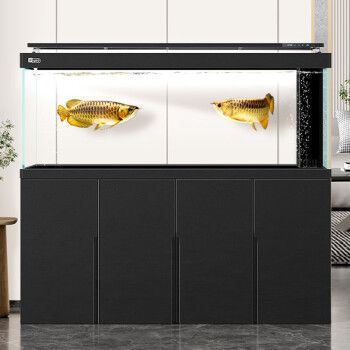 龍魚專用缸排名：高檔龍魚缸優缺點 龍魚專用缸排名：高檔龍魚缸優缺點 龍魚百科 第1張