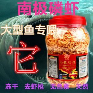 龍魚喂蝦干好不好吃：龍魚可以吃蝦干嗎，可以喂蝦干嗎？