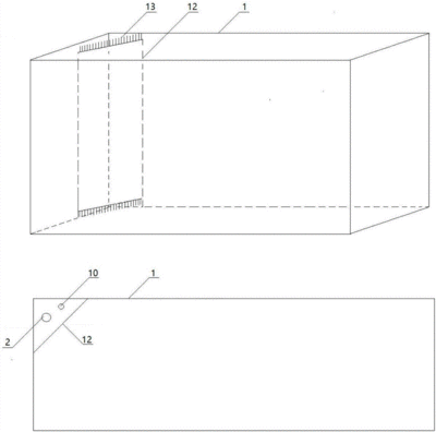 養(yǎng)紅龍魚(yú)缸需要多大的水：養(yǎng)紅龍魚(yú)的水位、尺寸和設(shè)計(jì)等因素