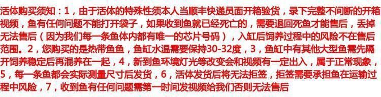 古典藍(lán)過背金龍魚購買渠道