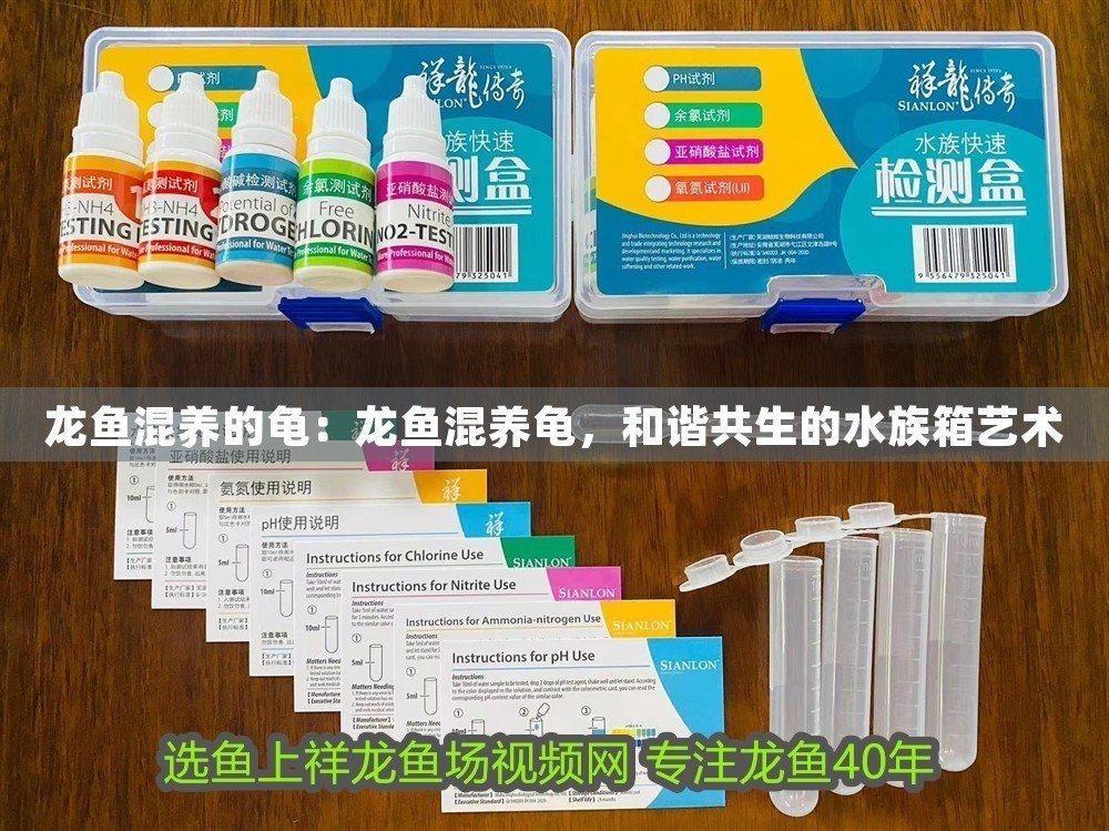 龍魚混養的龜：龍魚混養龜，和諧共生的水族箱藝術