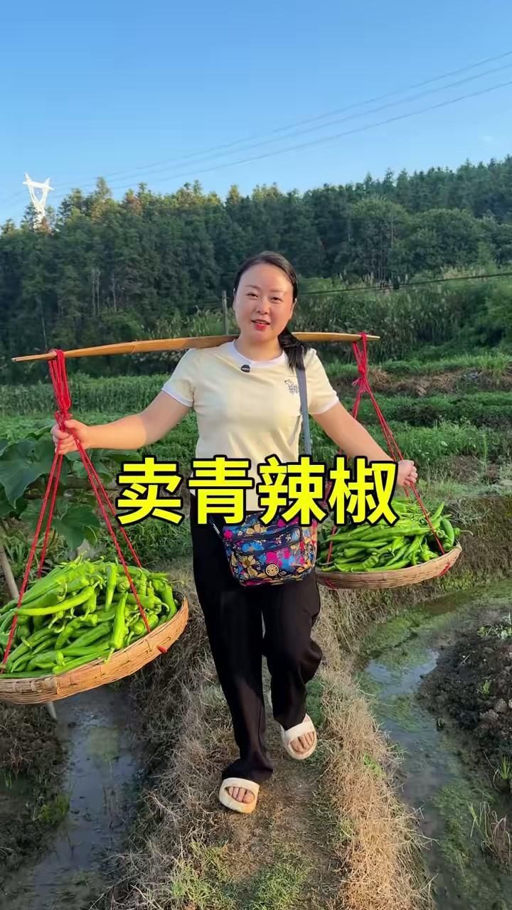 辣椒怎么找銷路