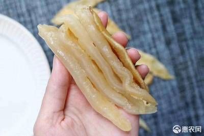 小金龍魚膠燉完沒了：燉制小金龍魚膠后發(fā)現(xiàn)魚膠不見了