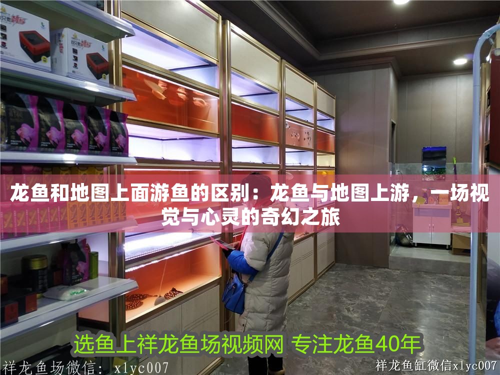 龍魚和地圖上面游魚的區(qū)別：龍魚與地圖上游，一場視覺與心靈的奇幻之旅 龍魚和地圖上面游魚的區(qū)別：龍魚與地圖上游，一場視覺與心靈的奇幻之旅 龍魚百科 第1張