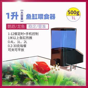 龍魚喂食器（選擇龍魚喂食器的注意事項） 龍魚喂食器（選擇龍魚喂食器的注意事項） 龍魚百科 第5張
