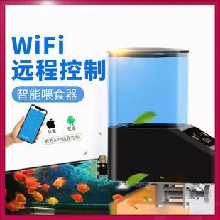 龍魚喂食器（選擇龍魚喂食器的注意事項） 龍魚喂食器（選擇龍魚喂食器的注意事項） 龍魚百科 第3張