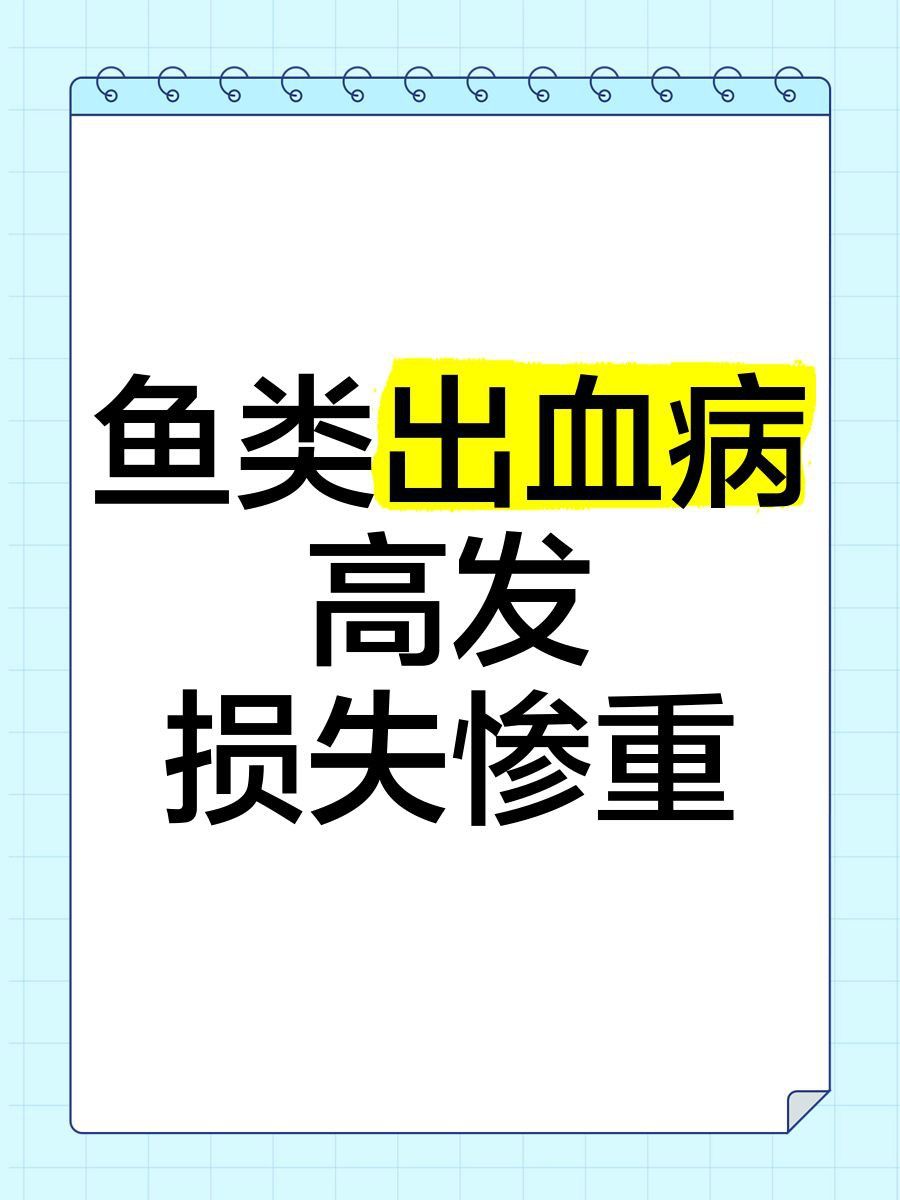 能給出更多關于魚體滲血的案例嗎？
