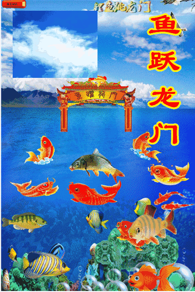 有沒有動態高清招財金龍壁紙 有沒有動態高清招財金龍壁紙 龍魚百科 第3張