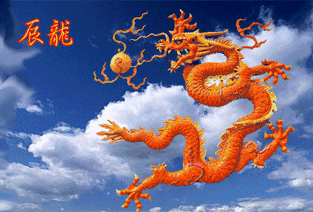 有沒有動態高清招財金龍壁紙 有沒有動態高清招財金龍壁紙 龍魚百科 第5張