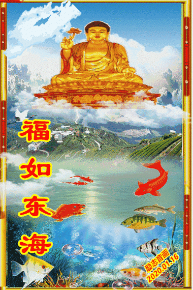 有沒有動態高清招財金龍壁紙 有沒有動態高清招財金龍壁紙 龍魚百科 第12張