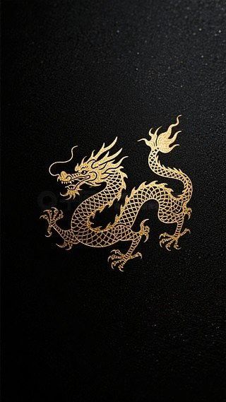 有沒有動態高清招財金龍壁紙 有沒有動態高清招財金龍壁紙 龍魚百科 第25張