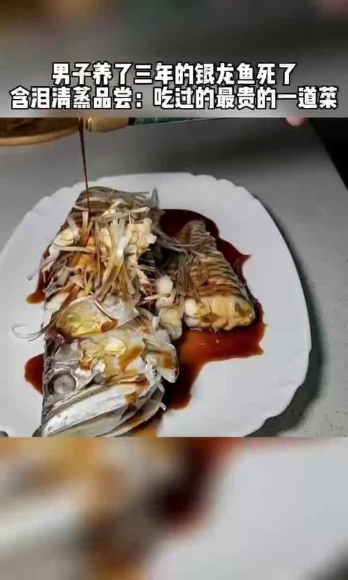 銀龍魚做法圖片欣賞