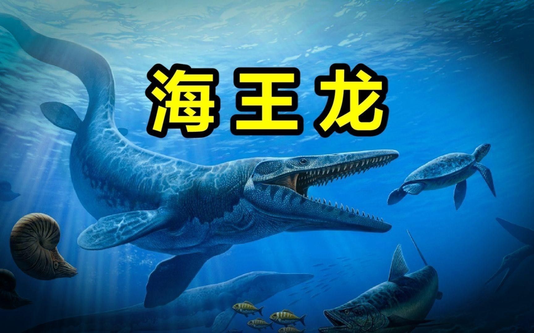 霍夫曼滄龍和海王龍哪個更聰明？