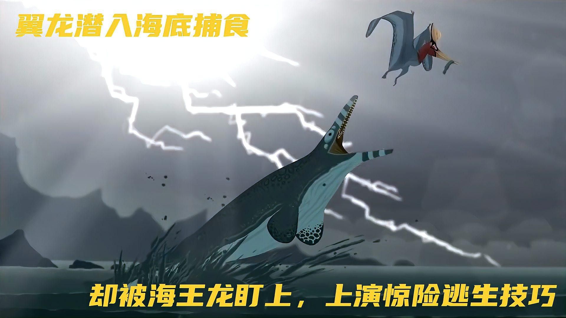 霍夫曼滄龍和海王龍哪個更聰明？