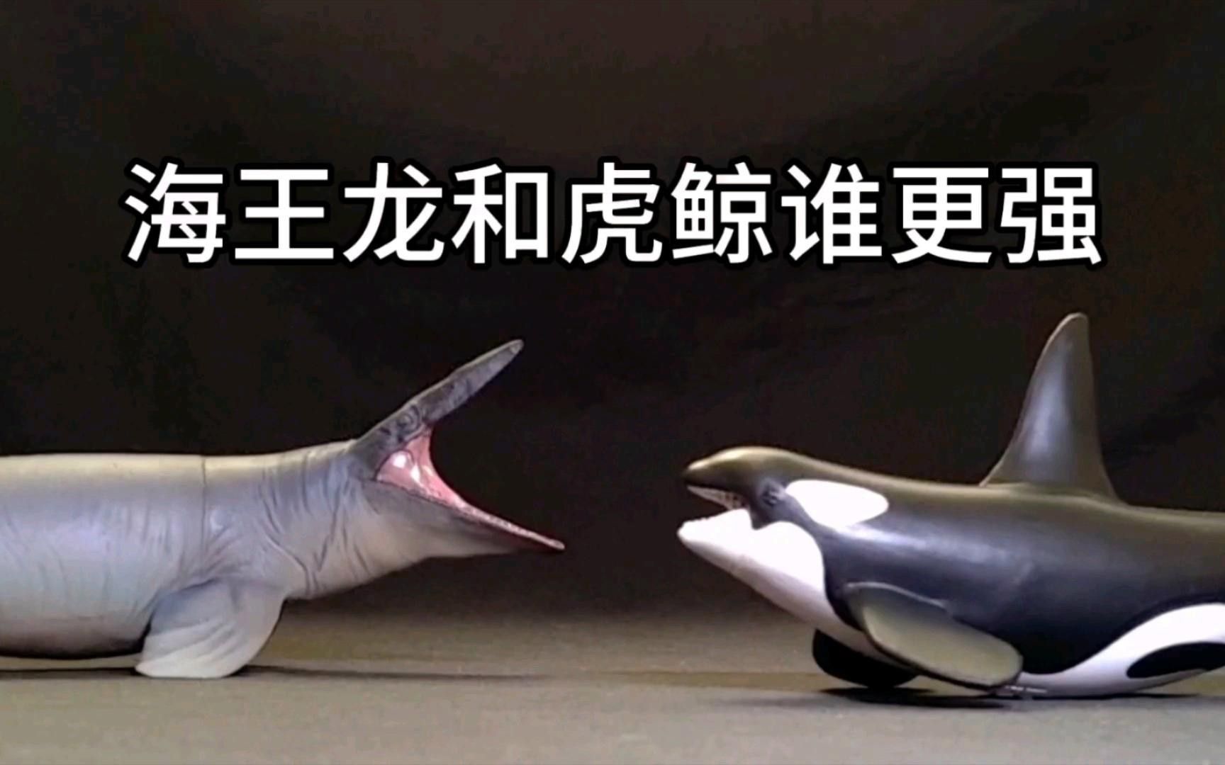 霍夫曼滄龍和海王龍哪個更聰明？